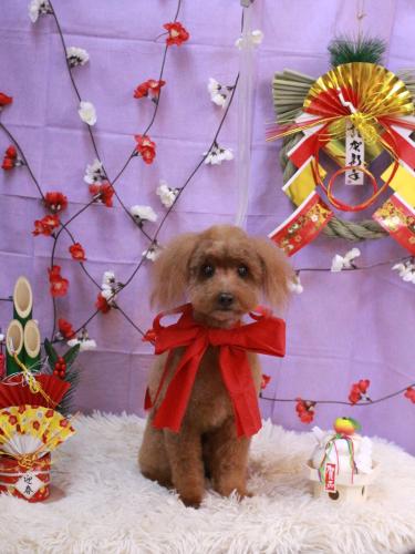 20230107チャタくん